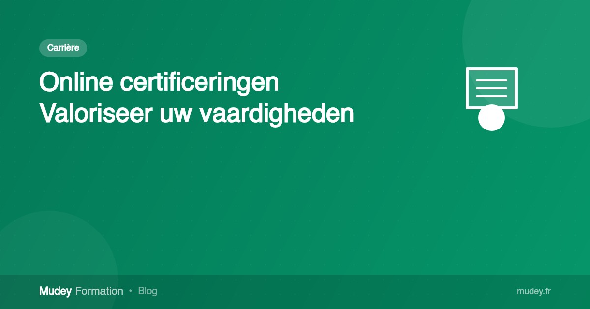Online certificeringen: hoe u uw vaardigheden kunt valoriseren